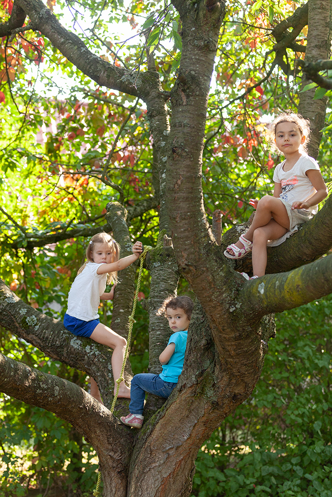 Mädchen klettern im Kirschbaum.